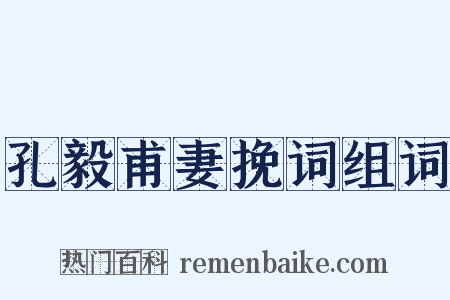 孔毅甫妻挽词组词是什么意思的图片